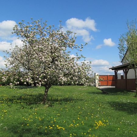 Pension Otevek Trhove Sviny Exterior photo