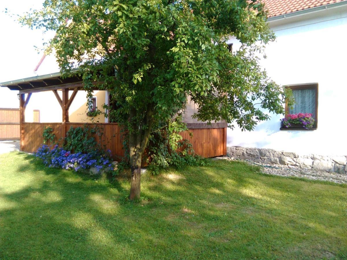 Pension Otevek Trhove Sviny Exterior photo
